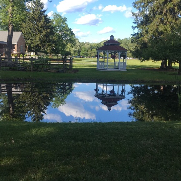 Meet your Posher, Alessandra - Picture 1 of 1